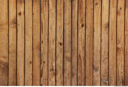 Photo Textures of Wood 